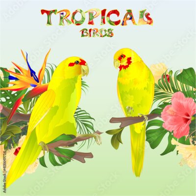 Papier peint  Tropical  seamless border  tropical birds parots yellow Indian Ringneck alexander and Strelitzia  and  pink and yellow hibiscus palm,philodendron and ficus watercolor vintage vector illustration