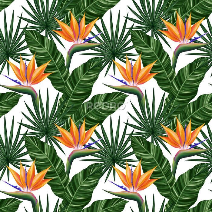 Papier peint  Tropical seamless pattern. Colorful vivid print with beautiful palm jungle leaves and strelitzia flowers. Repeated luxury design for packaging, cosmetic, fashion, textile, wallpaper.