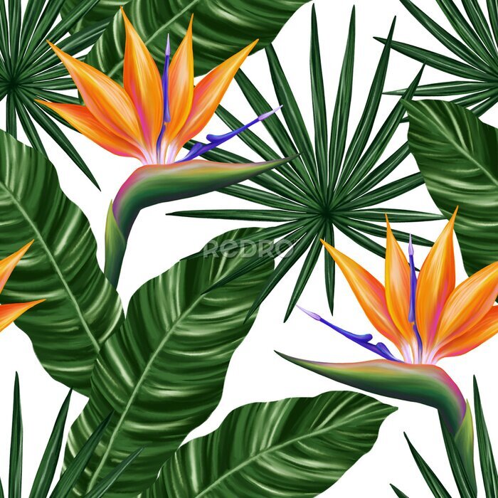 Papier peint  Tropical seamless pattern. Colorful vivid print with beautiful palm jungle leaves and strelitzia flowes. Repeated luxury design for packaging, cosmetic, fashion, textile, wallpaper.