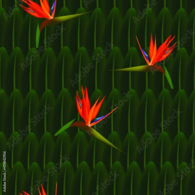 Papier peint  Tropical seamless pattern of flowers bird of Paradise (strelitzia) on the background of palm leaves. Exotic illustration of jungle plants.