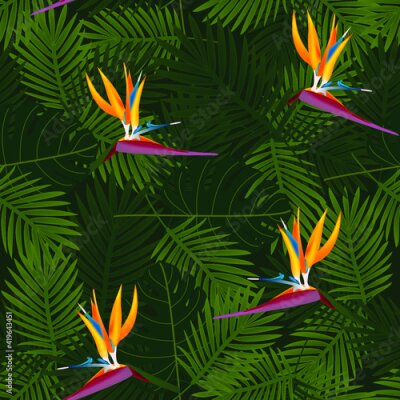Papier peint  Tropical seamless pattern of flowers bird of Paradise (strelitzia) on the background of palm leaves. Exotic illustration of jungle plants.