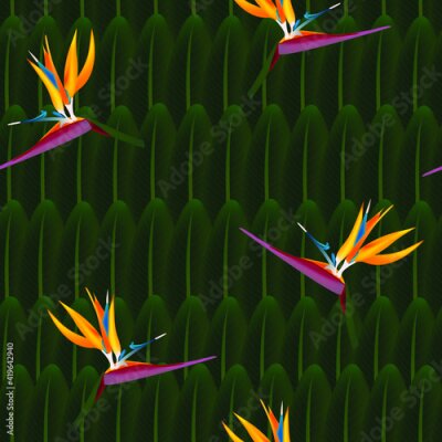 Papier peint  Tropical seamless pattern of flowers bird of Paradise (strelitzia) on the background of palm leaves. Exotic illustration of jungle plants.