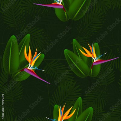 Papier peint  Tropical seamless pattern of flowers bird of Paradise (strelitzia) on the background of palm leaves. Exotic illustration of jungle plants.