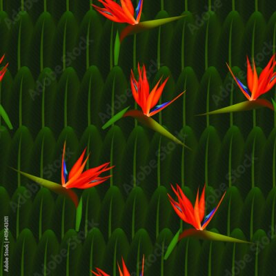 Papier peint  Tropical seamless pattern of flowers bird of Paradise (strelitzia) on the background of palm leaves. Exotic illustration of jungle plants.