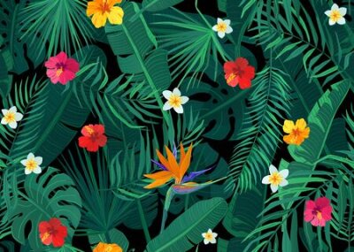 Papier peint  Tropical seamless pattern vector background with exotic palm, banana, monstera leaves and hibiscus, strelitzia, frangipani flowers on dark black backdrop