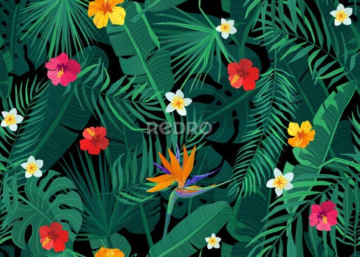 Papier peint  Tropical seamless pattern vector background with exotic palm, banana, monstera leaves and hibiscus, strelitzia, frangipani flowers on dark black backdrop