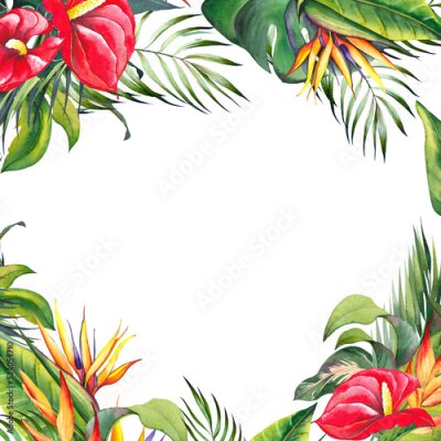 Papier peint  Tropical square frame with red lily, strelitzia flowers and palm leaves. Watercolor illustration on white background.