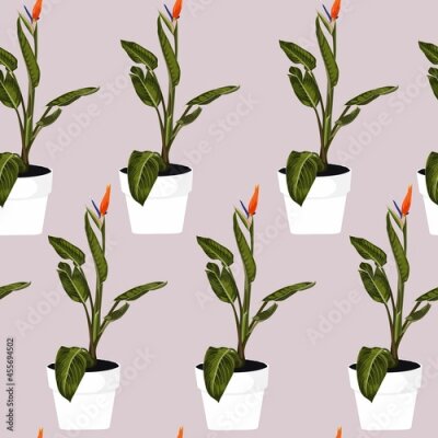 Papier peint  Tropical Strelitzia exotic homeplant in pots seamless pattern for inside and outside. 