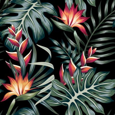 Papier peint  Tropical strelitzia floral palm leaves seamless pattern black background. Exotic jungle wallpaper.