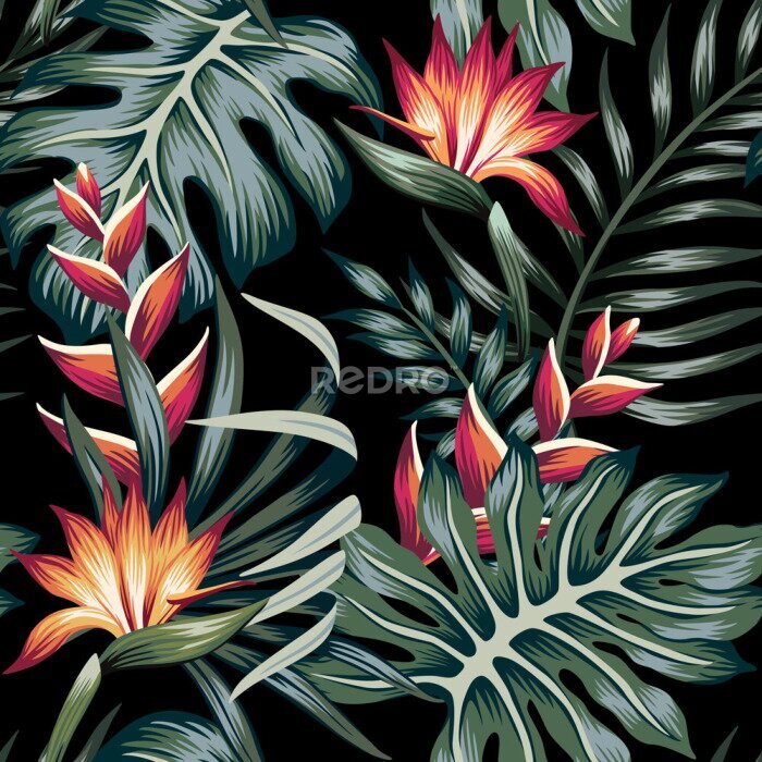 Papier peint  Tropical strelitzia floral palm leaves seamless pattern black background. Exotic jungle wallpaper.