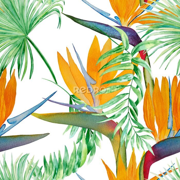 Papier peint  Tropical strelitzia flowers and palm leaves seamless watercolor pattern. Exotic foliage hand drawn background. Jungle vegetation endless backdrop. For fabric and wallpaper. Wrapping paper.	