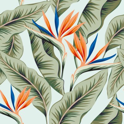 Papier peint  Tropical strelitzia flowers, banana palm leaves, light blue background. Vector seamless pattern. Jungle foliage illustration. Exotic plants. Summer beach floral design. Paradise nature