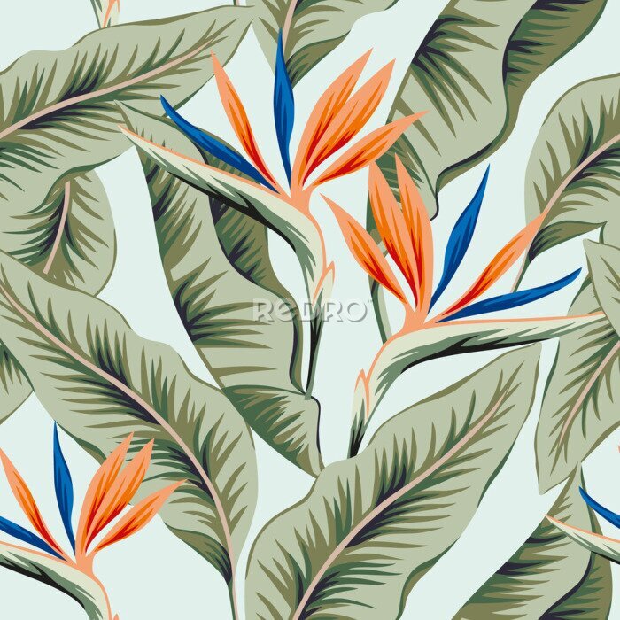 Papier peint  Tropical strelitzia flowers, banana palm leaves, light blue background. Vector seamless pattern. Jungle foliage illustration. Exotic plants. Summer beach floral design. Paradise nature