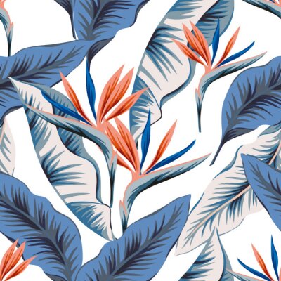 Papier peint  Tropical strelitzia flowers, blue banana palm leaves, white background. Vector seamless pattern. Jungle foliage illustration. Exotic plants. Summer beach floral design. Paradise nature
