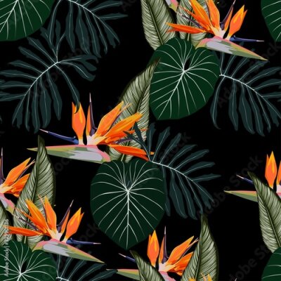Papier peint  Tropical strelitzia flowers, dark green leaves, black background. Seamless pattern. Jungle foliage illustration. Exotic plants. Summer beach floral design. Paradise nature.
