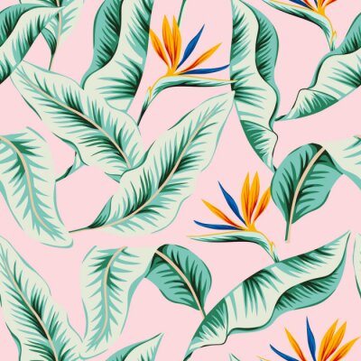 Papier peint  Tropical strelitzia flowers, green banana palm leaves, pink background. Vector seamless pattern. Jungle foliage illustration. Exotic plants. Summer beach floral design. Paradise nature