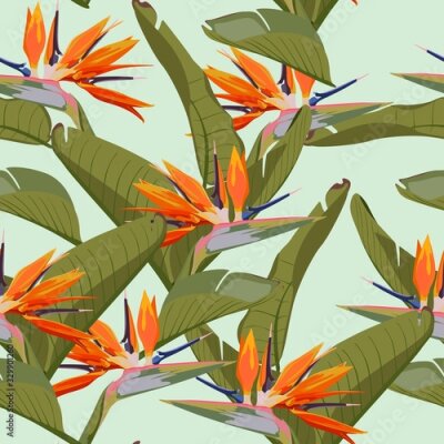 Papier peint  Tropical strelitzia flowers, green leaves, mint background. Seamless pattern. Jungle foliage illustration. Exotic plants. Summer beach floral design. Paradise nature.