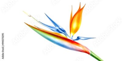Papier peint  Tropical strelitzia flowers in watercolor style on white background.
AI generated