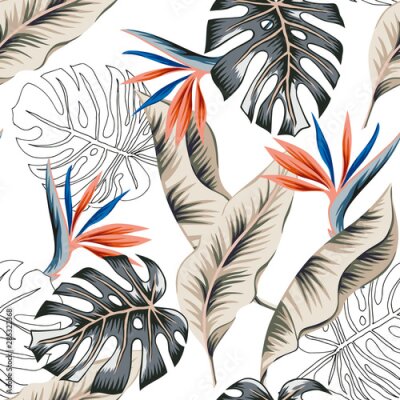Papier peint  Tropical strelitzia flowers, monstera, banana palm leaves, white background. Vector seamless pattern. Jungle foliage illustration. Exotic plants. Summer beach floral design. Paradise nature