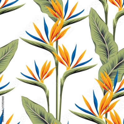 Papier peint  Tropical strelitzia flowers, palm leaves, white background. Vector seamless pattern. Jungle foliage illustration. Exotic plants. Summer beach floral design. Paradise nature