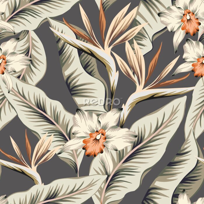 Papier peint  Tropical strelitzia, orchid flowers, banana palm leaves, gray background. Vector seamless pattern. Jungle foliage illustration. Exotic plants. Summer beach floral design. Paradise nature