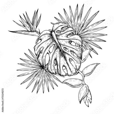 Papier peint  Tropical vector composition with monstera and palm leaves, heliconia, Bird of Paradise or Strelitzia reginae flowers illustrations on isolated background. Beautiful botanical hand painted e