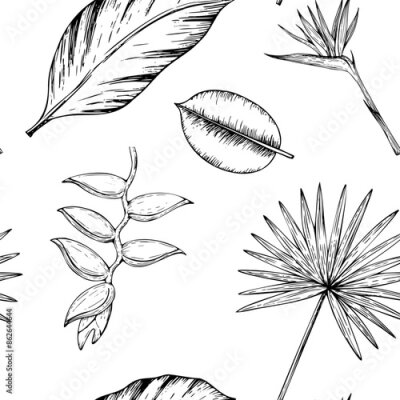 Papier peint  Tropical vector seamless pattern with palm leaves, heliconia, Bird of Paradise or Strelitzia reginae flowers illustrations on isolated background. Beautiful botanical hand painted exotic eleme