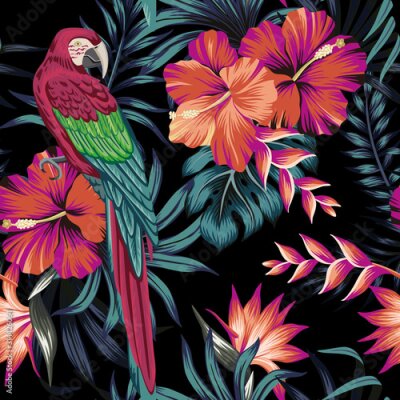 Papier peint  Tropical vintage macaw parrot, hibiscus strelitzia flower, palm leaves floral seamless pattern black background. Exotic jungle wallpaper.