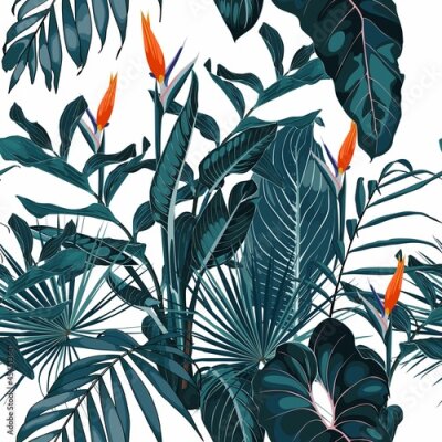 Papier peint  Tropical vintage  palm, monstera, plant, strelitzia flowers floral seamless border pink background. Exotic white jungle wallpaper.