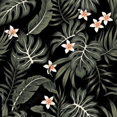 Papier peint  Tropical vintage plumeria flower, strelitzia, palm leaves, monstera leaves Hawaiian floral seamless pattern black background. Exotic jungle night wallpaper.