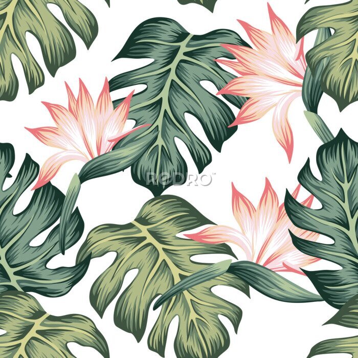 Papier peint  Tropical vintage strelitzia floral monstera leaves seamless pattern white background. Exotic jungle wallpaper.