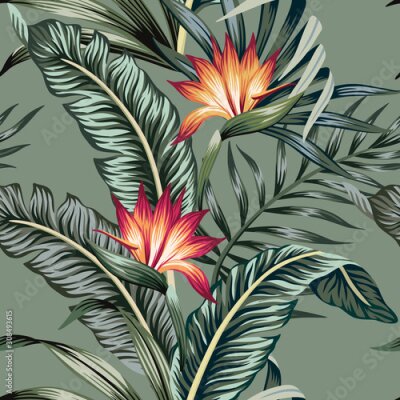Papier peint  Tropical vintage strelitzia floral palm leaves seamless pattern green background. Exotic jungle wallpaper.
