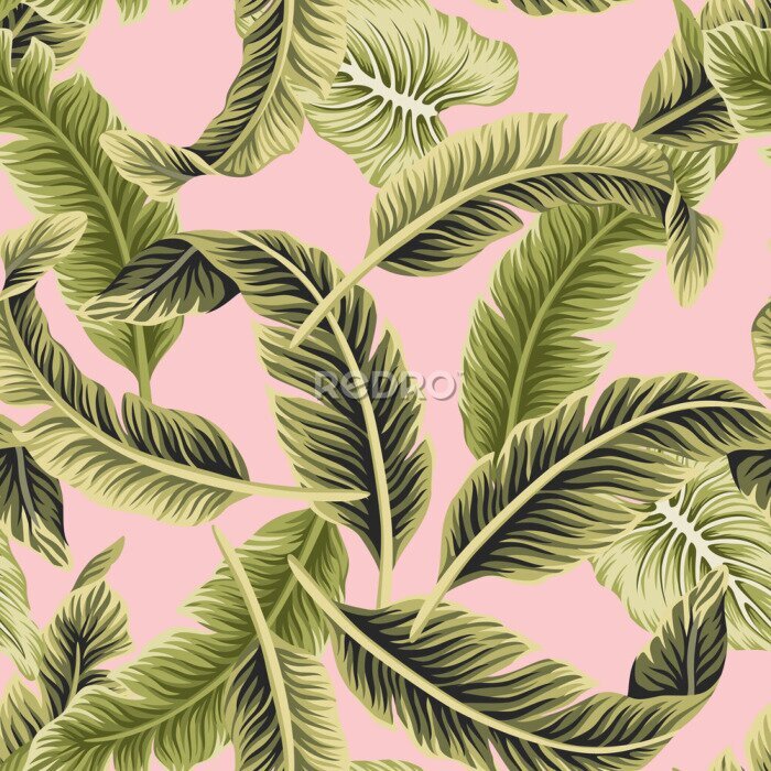 Papier peint  Tropical vintage vector green banana leaves floral seamless pattern pink background. Exotic jungle wallpaper.