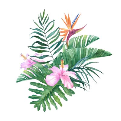 Papier peint  Tropical watercolor bouquet of their hibiscus and strelitzia leaves and flowers on white background for design.