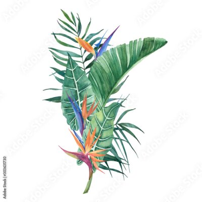 Papier peint  Tropical watercolor bouquet with palm leaves and strelitzia flowers.