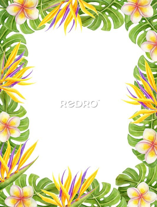 Papier peint  Tropical watercolor frame with frangipani, strelitzia, paradise bird flowers and palm leaves. Design element. Aloha Hawaii greeting card.