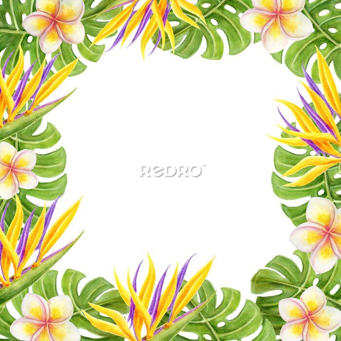 Papier peint  Tropical watercolor frame with frangipani, strelitzia, paradise bird flowers and palm leaves. Design element. Aloha Hawaii greeting card.