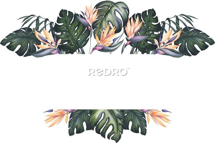 Papier peint  Tropical Watercolor Frame with Strelitzia Flowers and Monstera Leaves