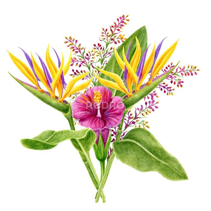 Papier peint  Tropical watercolor painting bouquet with hibiscus, strelitzia, paradise bird flowers, and palm leaves. Design bouquet element. Aloha Hawaii greeting.
