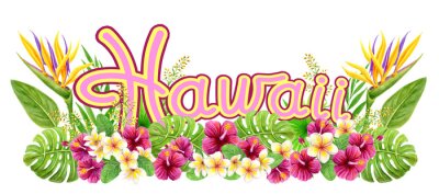 Papier peint  Tropical watercolor painting with strelitzia, hibiscus rose flowers, frangipani and palm leaves. Design border element. Aloha Hawaii greeting.