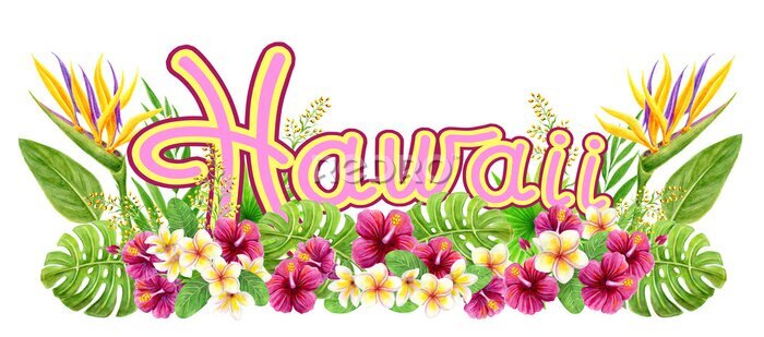 Papier peint  Tropical watercolor painting with strelitzia, hibiscus rose flowers, frangipani and palm leaves. Design border element. Aloha Hawaii greeting.