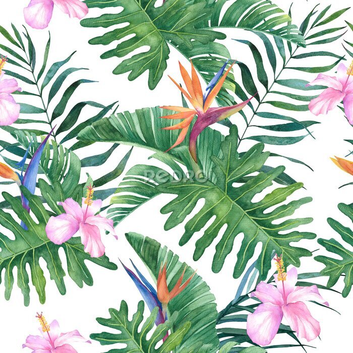 Papier peint  Tropical watercolor seamless pattern with exotic hibiscus and strelitzia flowers and leaves on a white background.