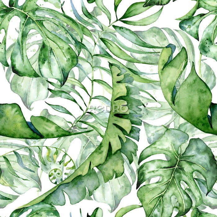 Papier peint  Tropical watercolor seamless pattern with green leaves illustration