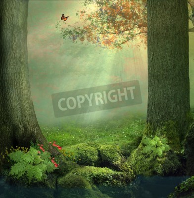 Papier peint  Tropiques abstraits