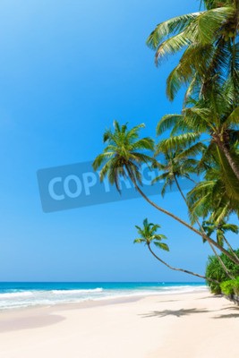 Papier peint  Tropiques au bord de l'océan