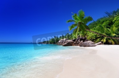 Papier peint  Tropiques avec ciel bleu