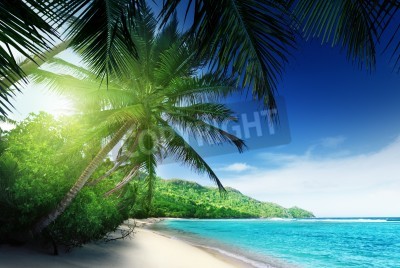 Papier peint  Tropiques avec ciel ensoleillé