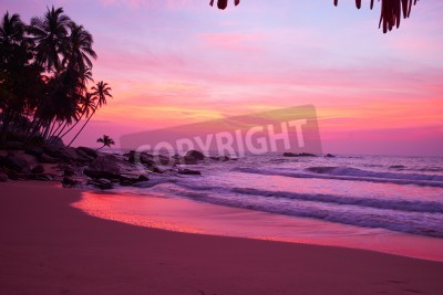 Papier peint  Tropiques avec ciel rose