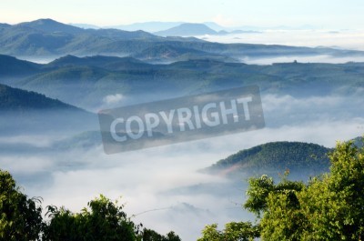 Papier peint  Tropiques dans la brume