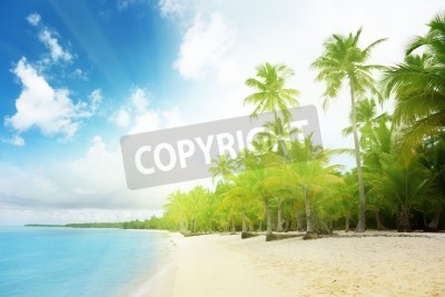 Papier peint  Tropiques des Caraïbes